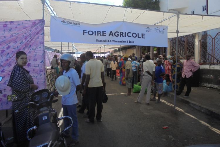 image Le panier des ménages soulagé par les mesures du gouvernement